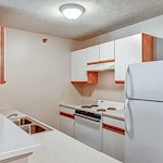 Image of Tall Trees (9)