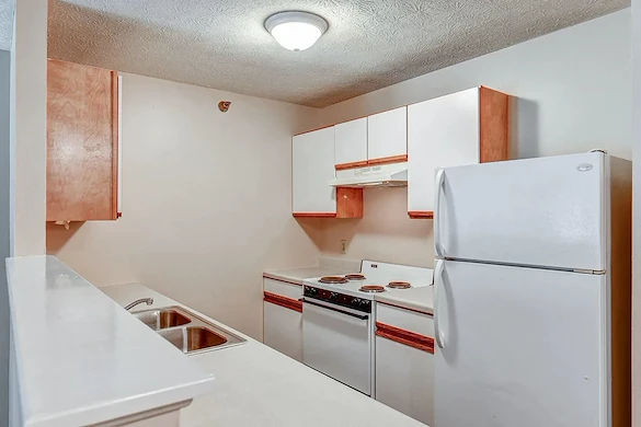 Image of Tall Trees (9)