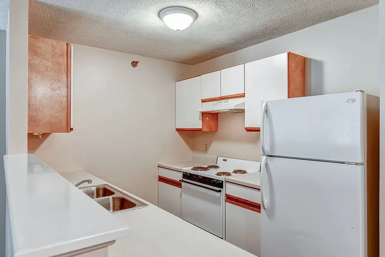 Image of Tall Trees (9)