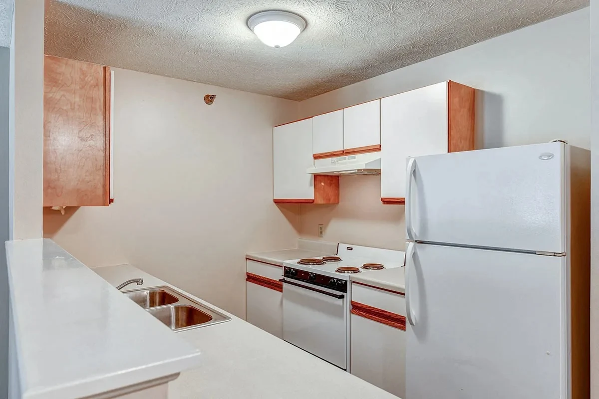 Image of Tall Trees (9)