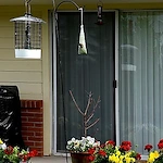 Image of Regency Retirement Residence of Laramie (5)