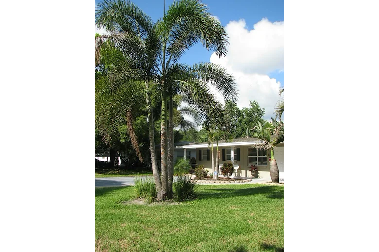 Image of Norwood Assisted Living (1)