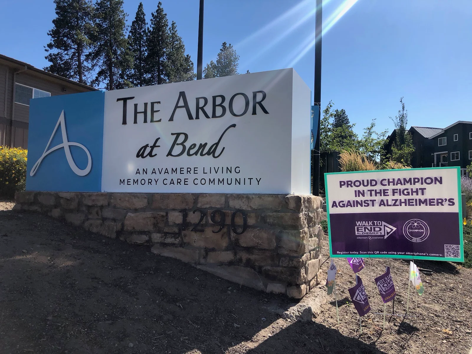 Greetings from the Arbor!