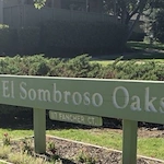 Image of El Sombroso Oaks (1)