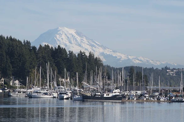 Image of Heron's Key (10)