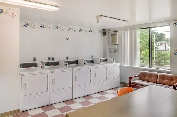 Image of Bangor Elderly (5)