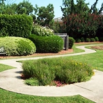 Image of Manhattan Nursing And Rehabilitation Center LLC (2)