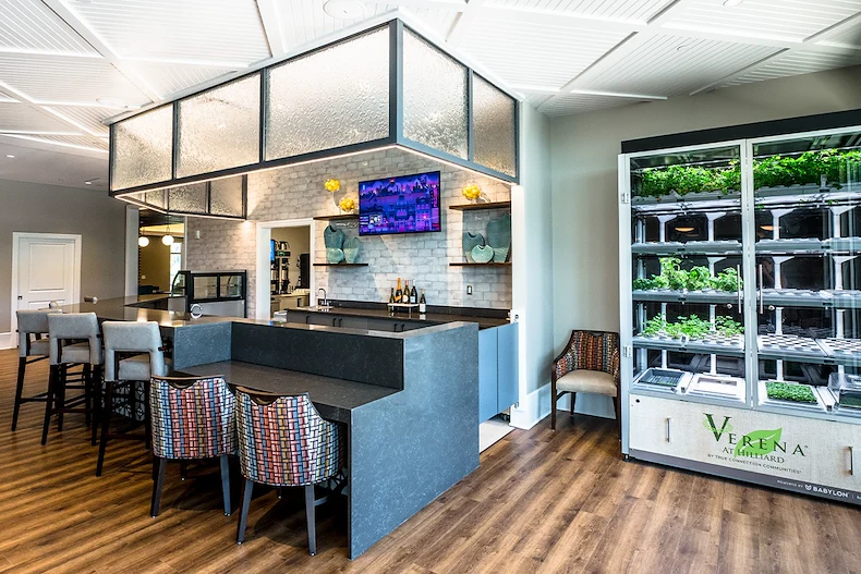 Image of Verena at Hilliard (5)