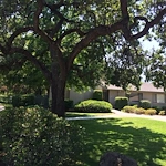 Image of El Sombroso Oaks (3)