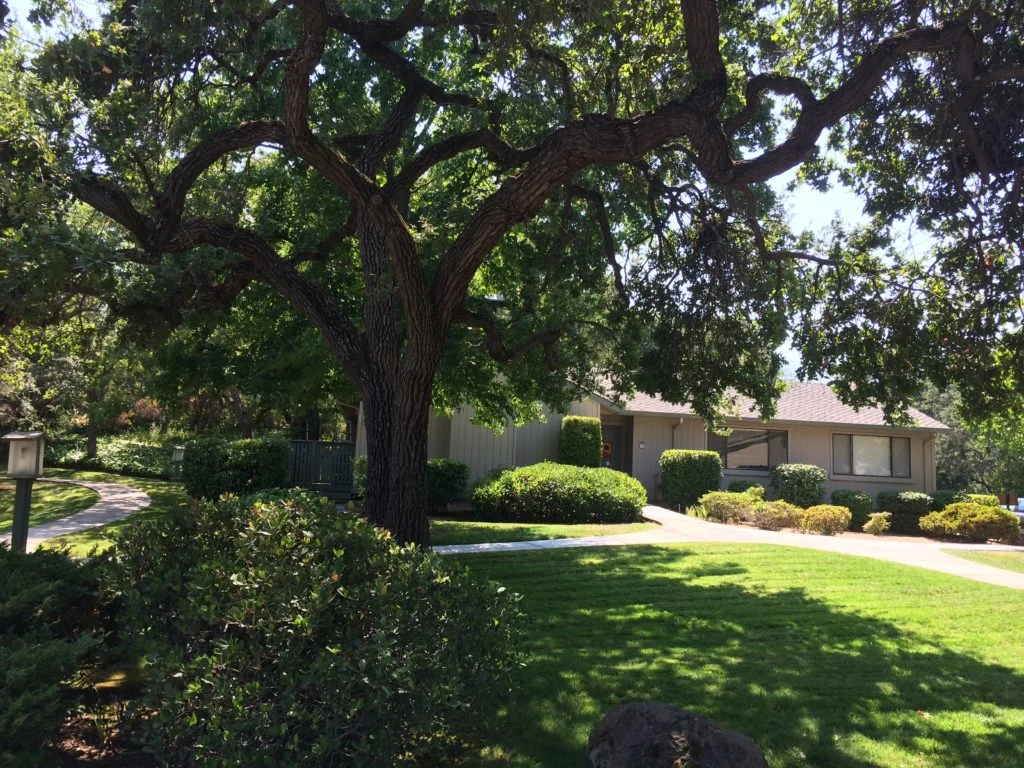 Image of El Sombroso Oaks (3)