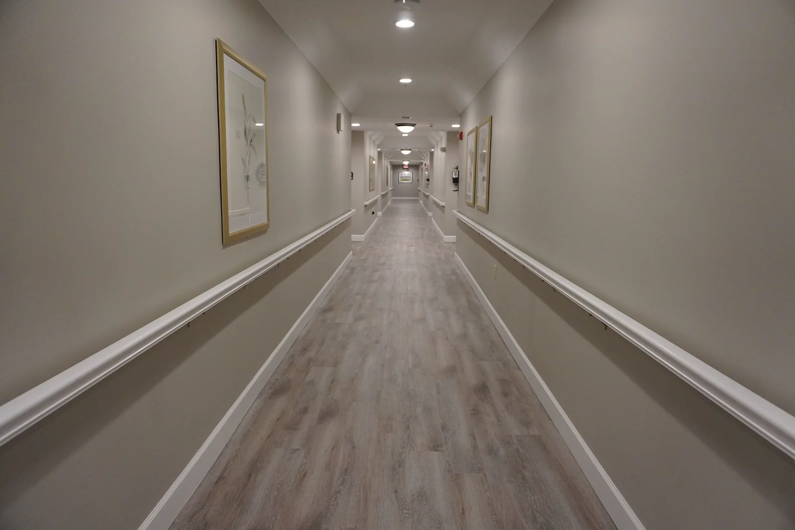 Image of Sodalis Martinez (4)