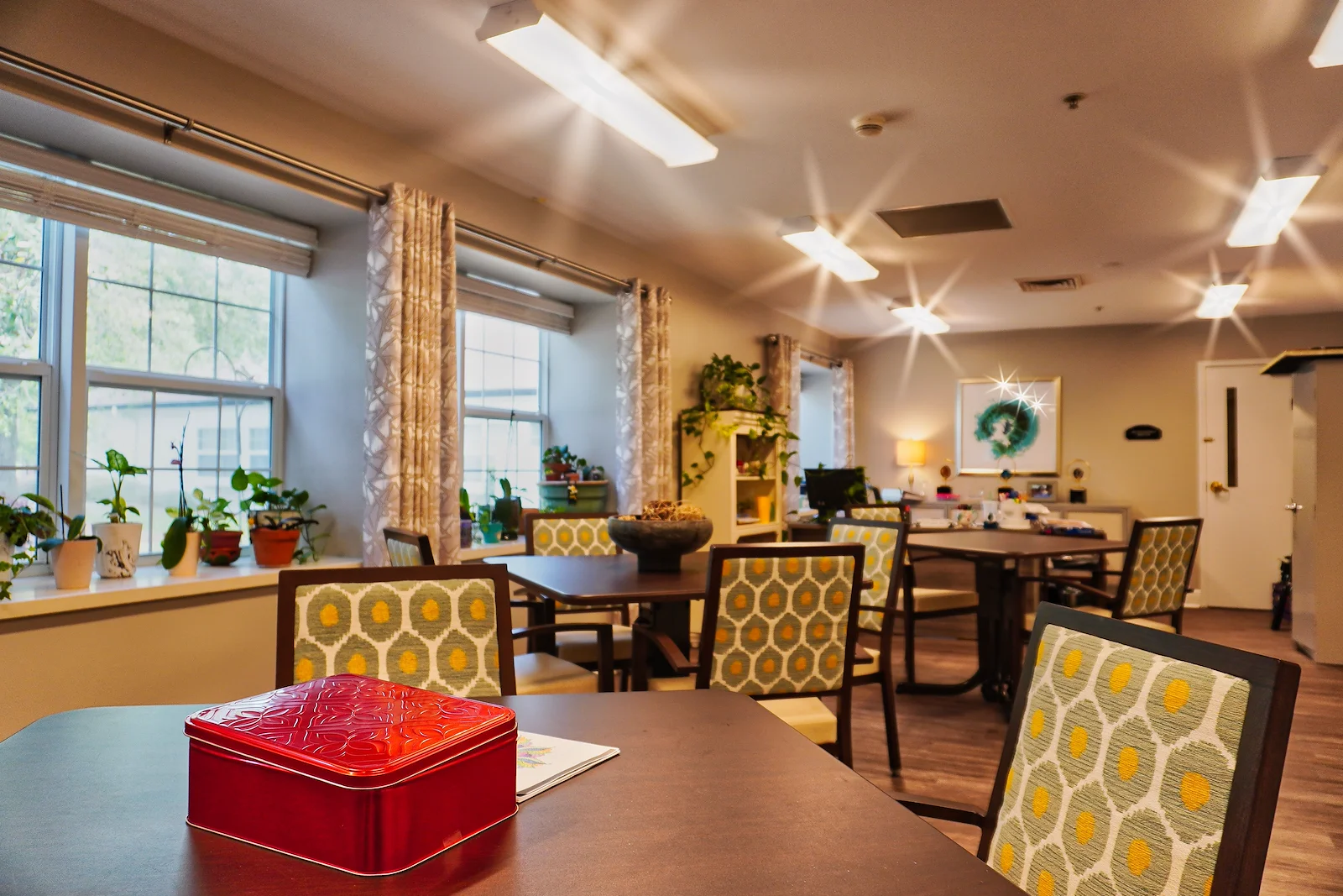 Image of Sodalis Pensacola (5)