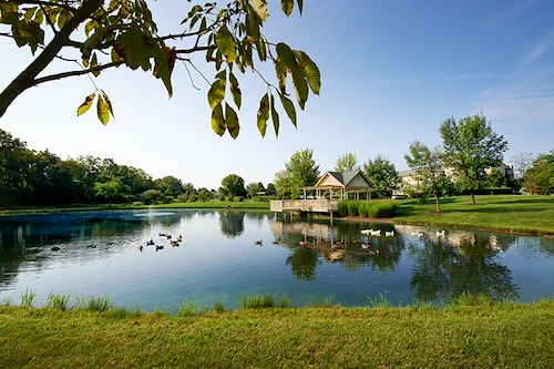 Image of Senior Star at Dublin Retirement Village (8)