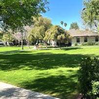 View of Cottages