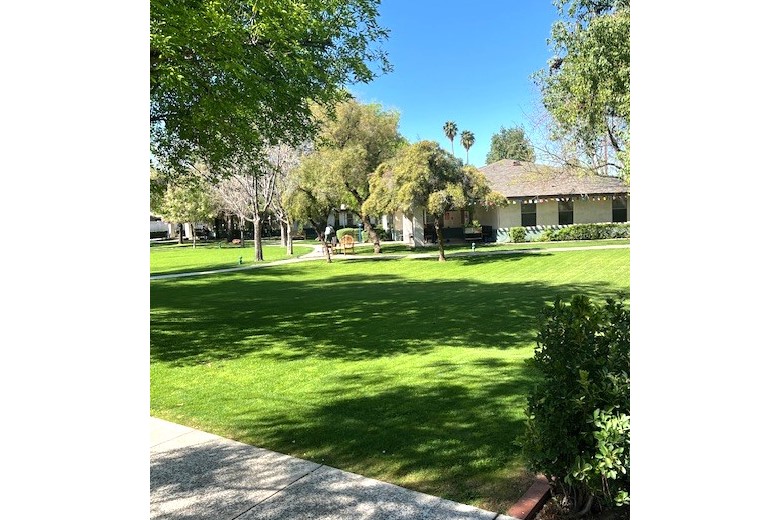 View of Cottages