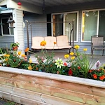 Image of Hayward II (6)