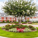 Image of Arbor Terrace at Crabapple (1)