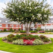 Image of Arbor Terrace at Crabapple (1)
