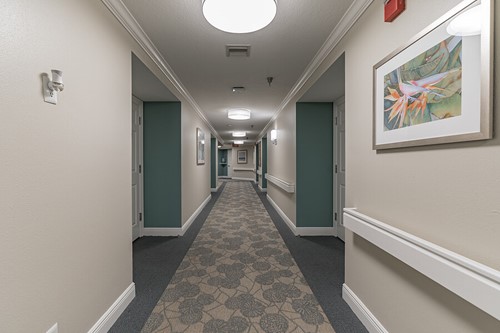 Image of Colliers At Clearwater (5)