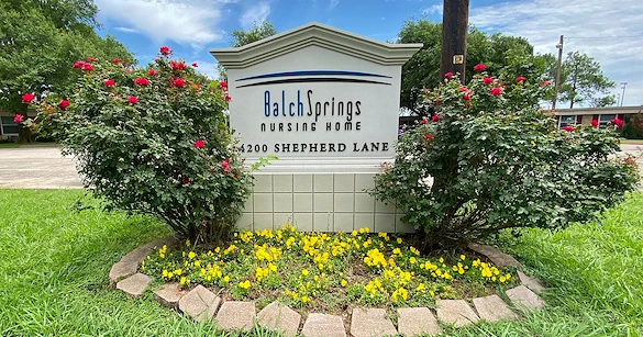 Image of Balch Springs Nursing Home (1)