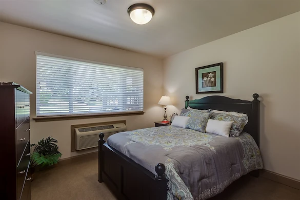 Image of Autumn View Gardens (5)