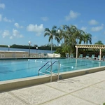 Image of Plymouth Harbor on Sarasota Bay (6)