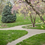 Image of The Groves Rosewood Health & Rehab Center (6)