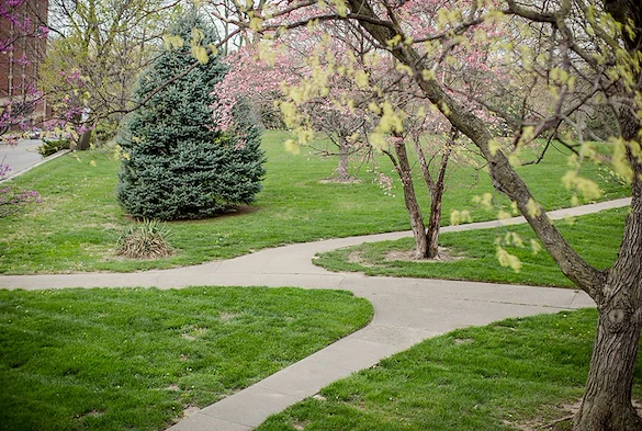 Image of The Groves Rosewood Health & Rehab Center (6)