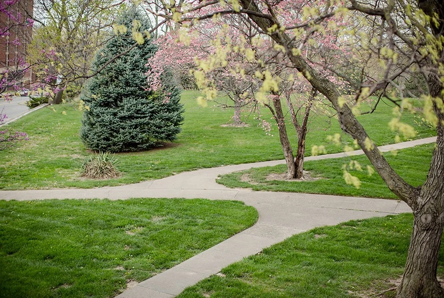 Image of The Groves Rosewood Health & Rehab Center (6)