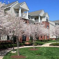 homewood-at-frederick-assisted-living-image-2
