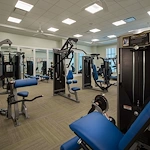 Image of The Tradition-Woodway (10)