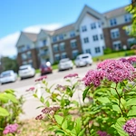 Image of Westwood Ridge by Vivie (1)