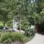 Image of New Perspective Golden Valley (8)