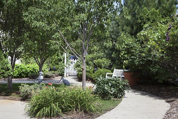 Image of New Perspective Golden Valley (8)