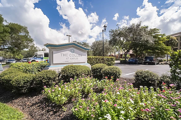 Image of The Collier At Naples (1)