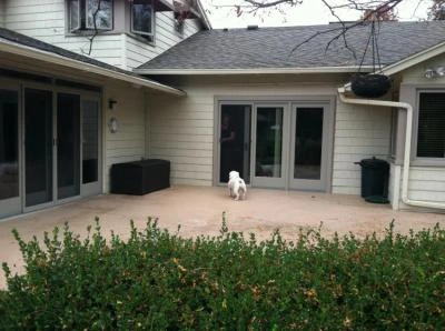 Image of Victoria's House (2)