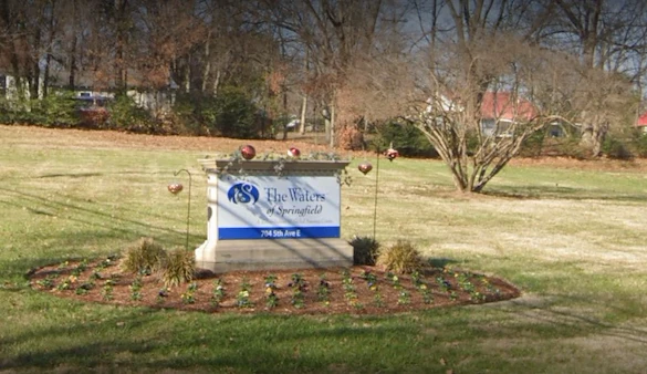 Image of The Waters Of Springfield (2)