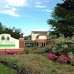 Image of Pines of Mt. Lebanon (2)