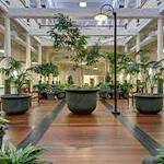 Image of Whaler's Cove (2)