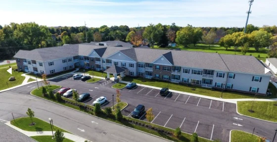 Image of Columbus Spring Leaf (1)