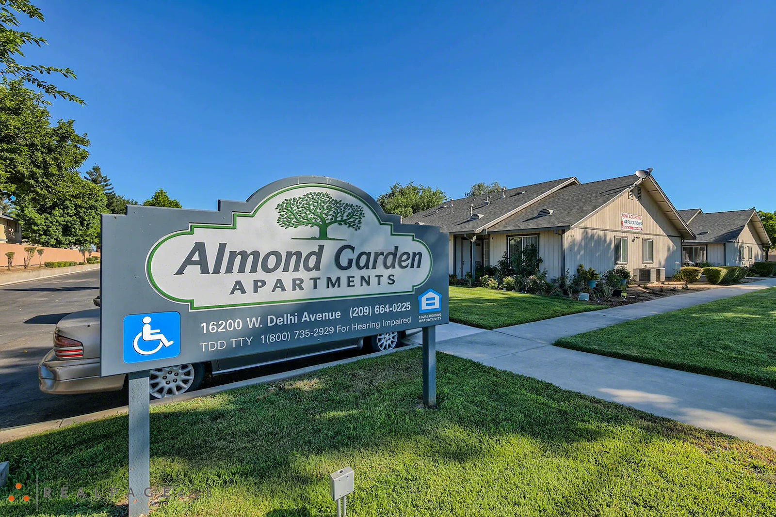 Image of Almond Garden Elderly (2)