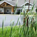 Image of Thornapple Manor (7)