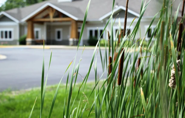 Image of Thornapple Manor (7)