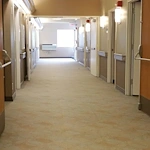 Image of Sunny View (4)