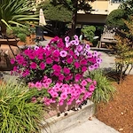 Image of Avamere Court At Keizer (7)