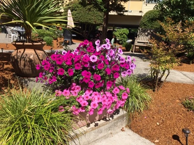 Image of Avamere Court At Keizer (7)