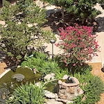 Image of Landmark at Desert Gardens (2)