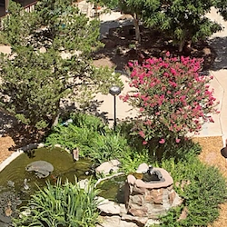 Image of Landmark at Desert Gardens (2)