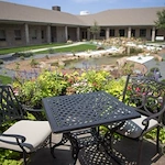 Image of Vitality Court Texas Star (9)