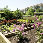 Image of Cypress Glen Retirement Community (10)